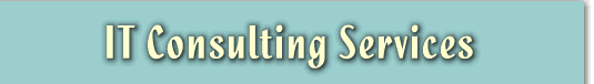 IT network consulting