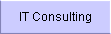 IT Consulting