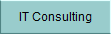 IT Consulting