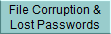 File Corruption & 
 Lost Passwords