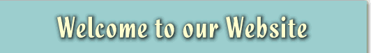 Data Recovery, hard drive data recovery, raid  data recovery